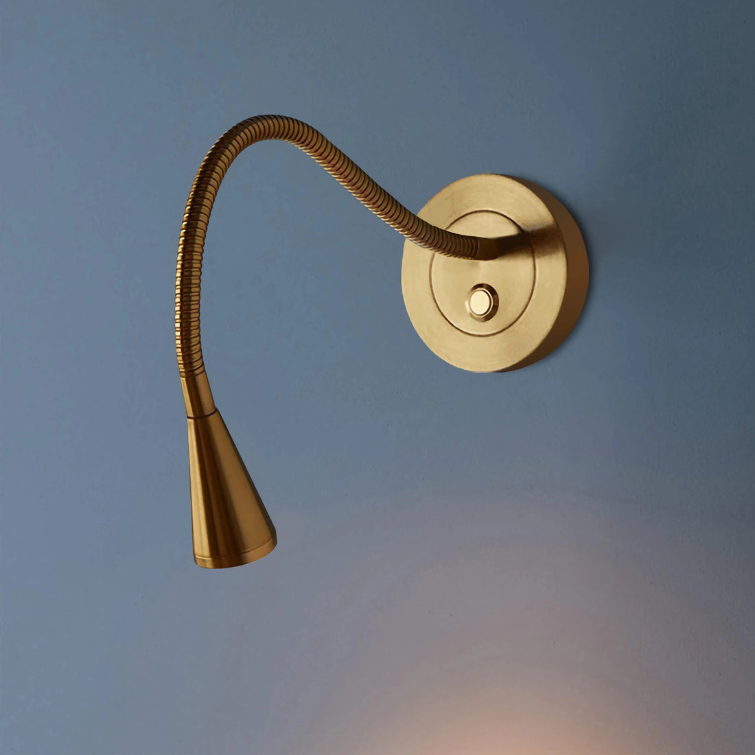Wall Mounted Adjustable Gooseneck Reading Light for Bed