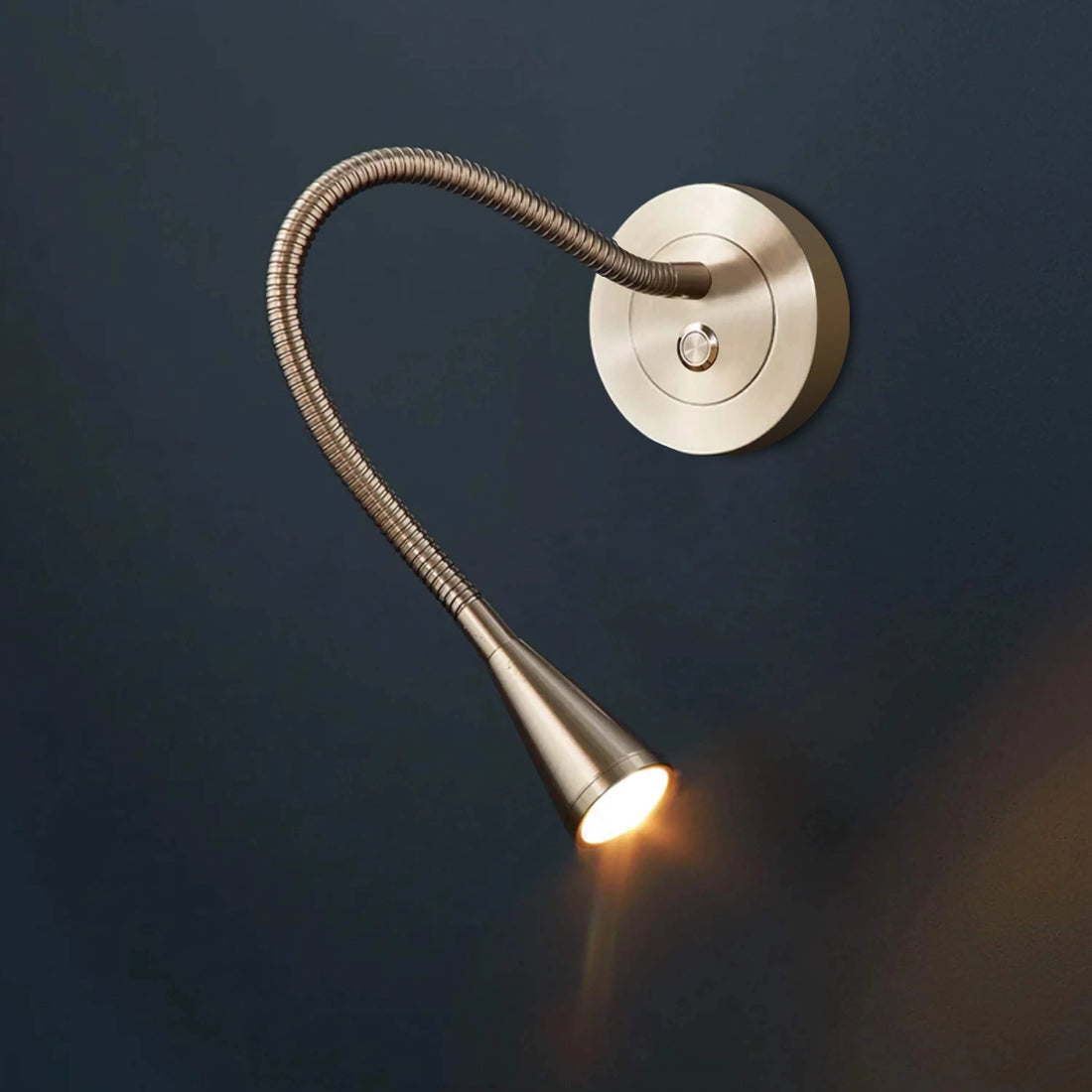 Wall Mounted Adjustable Gooseneck Reading Light for Bed
