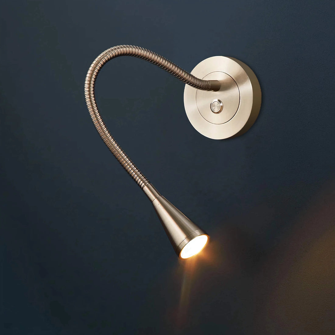 Wall Mounted Adjustable Gooseneck Reading Light for Bed